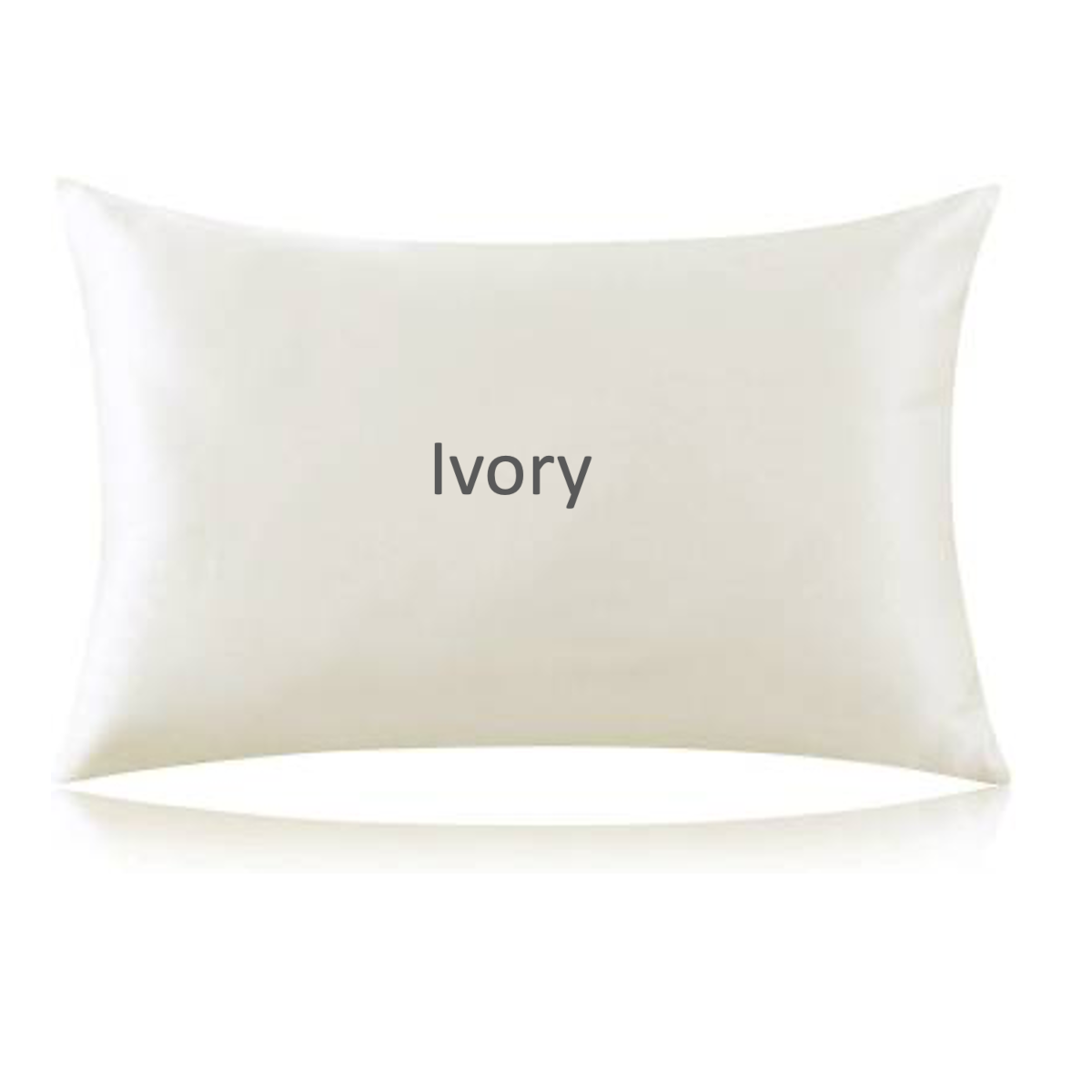 PURE MULBERRY SILK PILLOWCASE HIDDEN ZIPPER STYLE, 51X76CM
